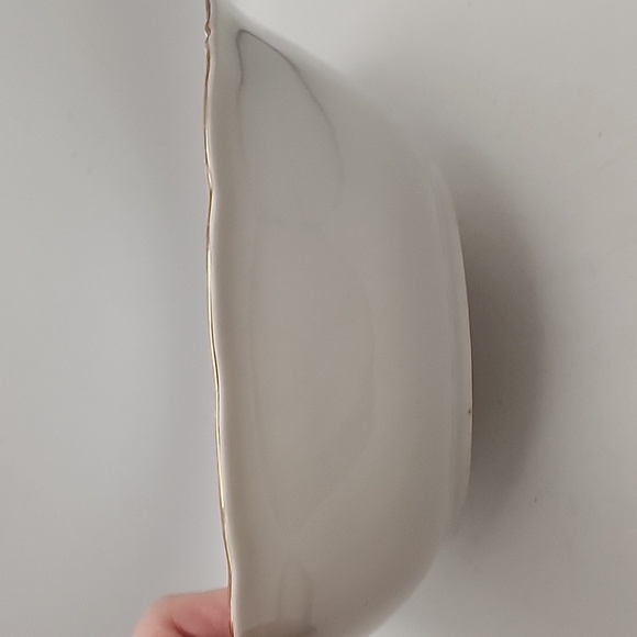 Vintage Royal Kent Poland China RKT23 9" Vegetable Bowl Roses - Picture 6 of 11